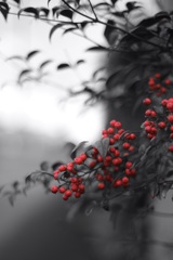 令和７年　冬至