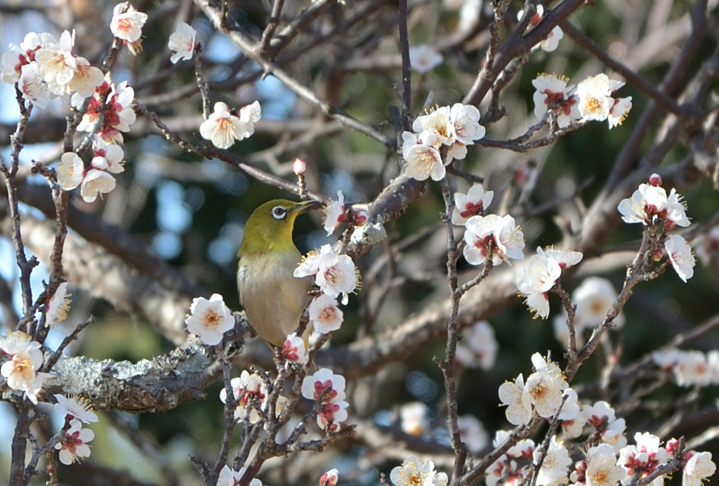 お待ちしておりました