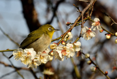 気が合いましたなー