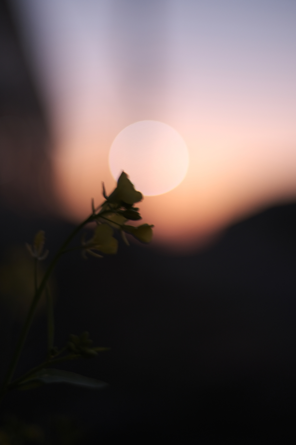 令和８年　小寒