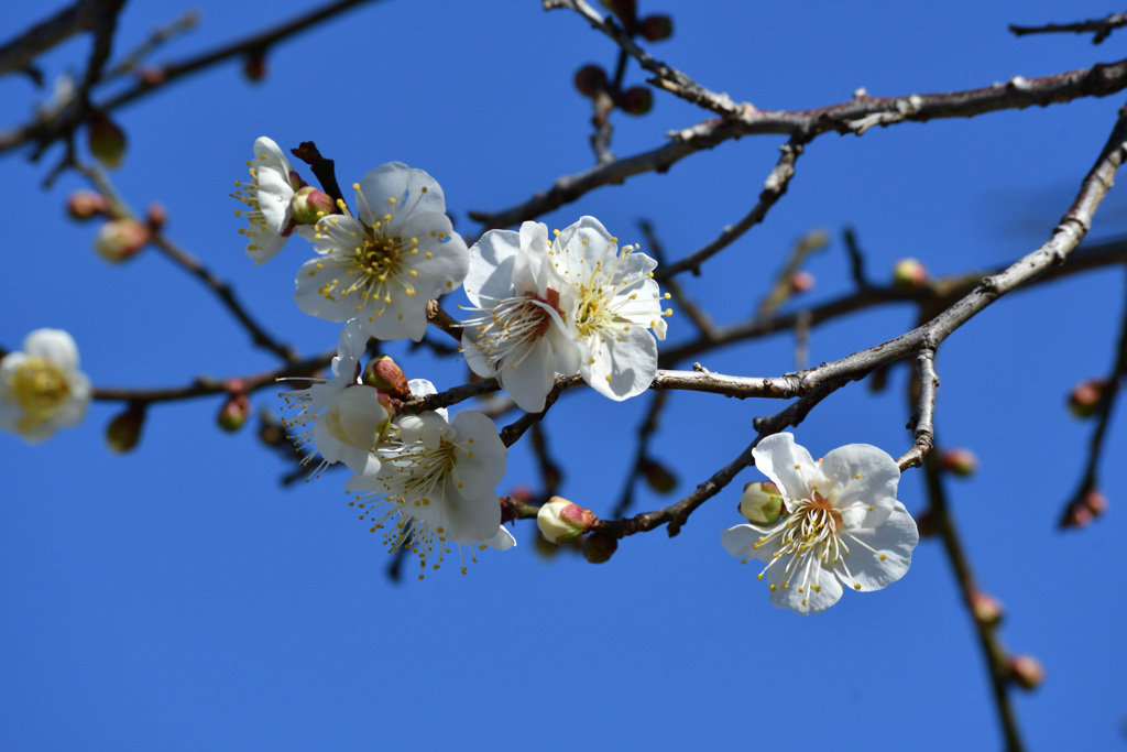 自然と足が向く