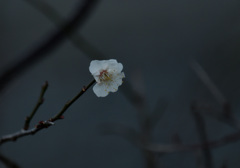 令和７年　雨水