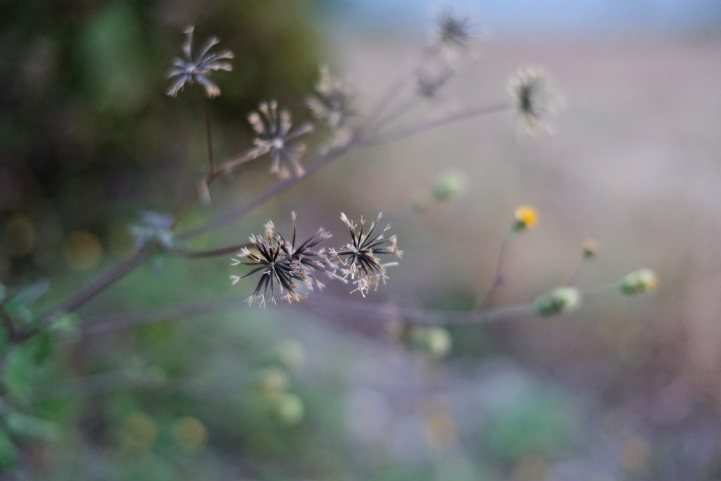 令和７年　立冬