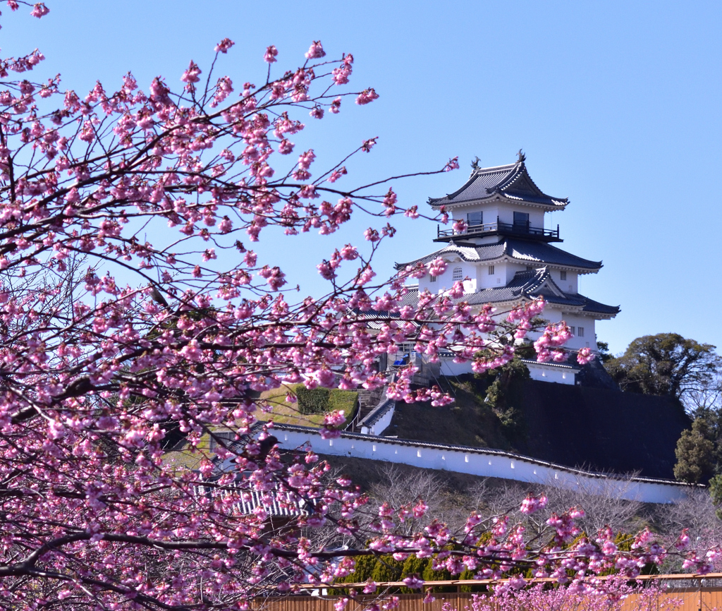 城下町の春