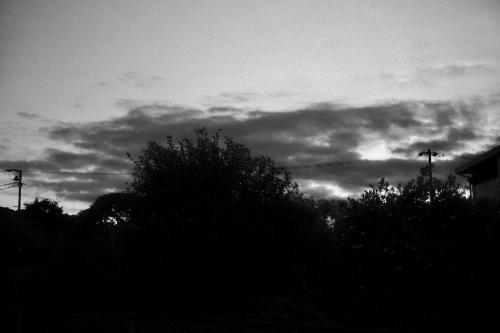 令和７年　小雪