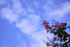 夏と秋の間にて