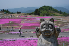 茶臼山　芝桜まつり