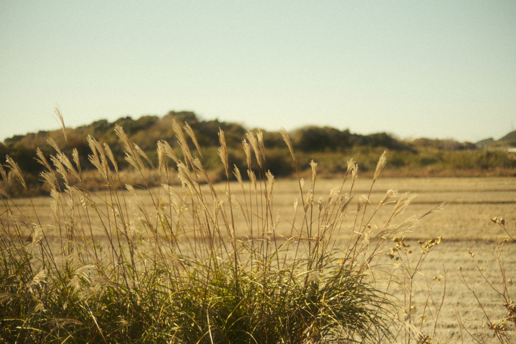 令和７年　大雪