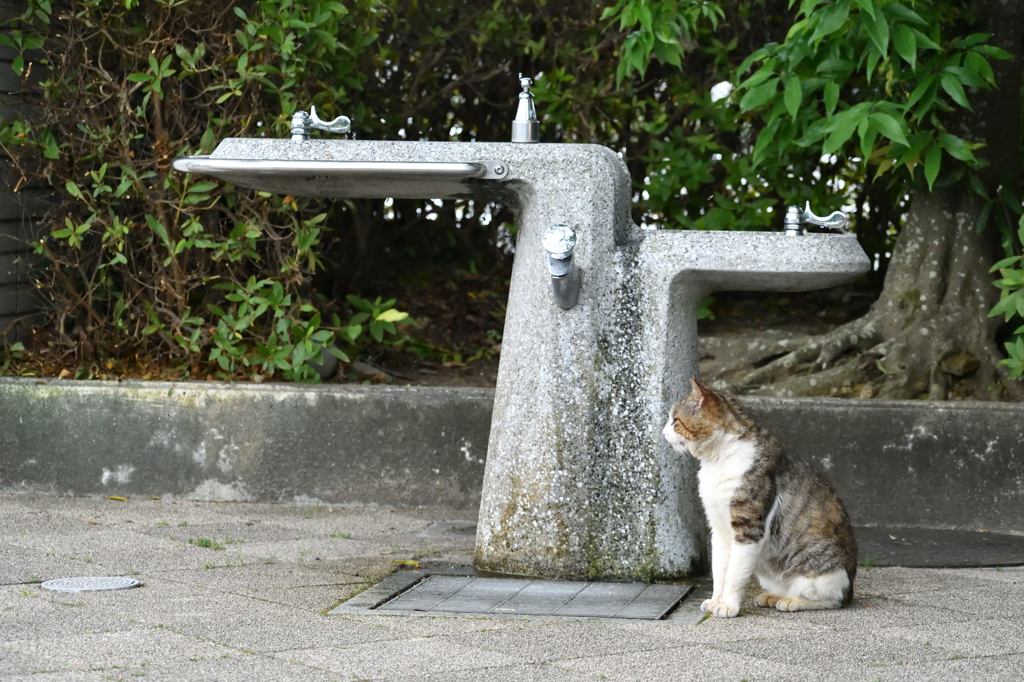 待ち合わせ？