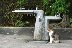 待ち合わせ？