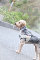 長生きしてね