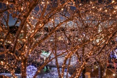 明るい景色