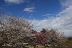 青空はいいなぁ