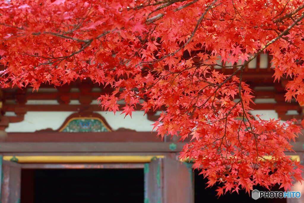 神護寺金堂2