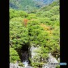 生の掛け軸