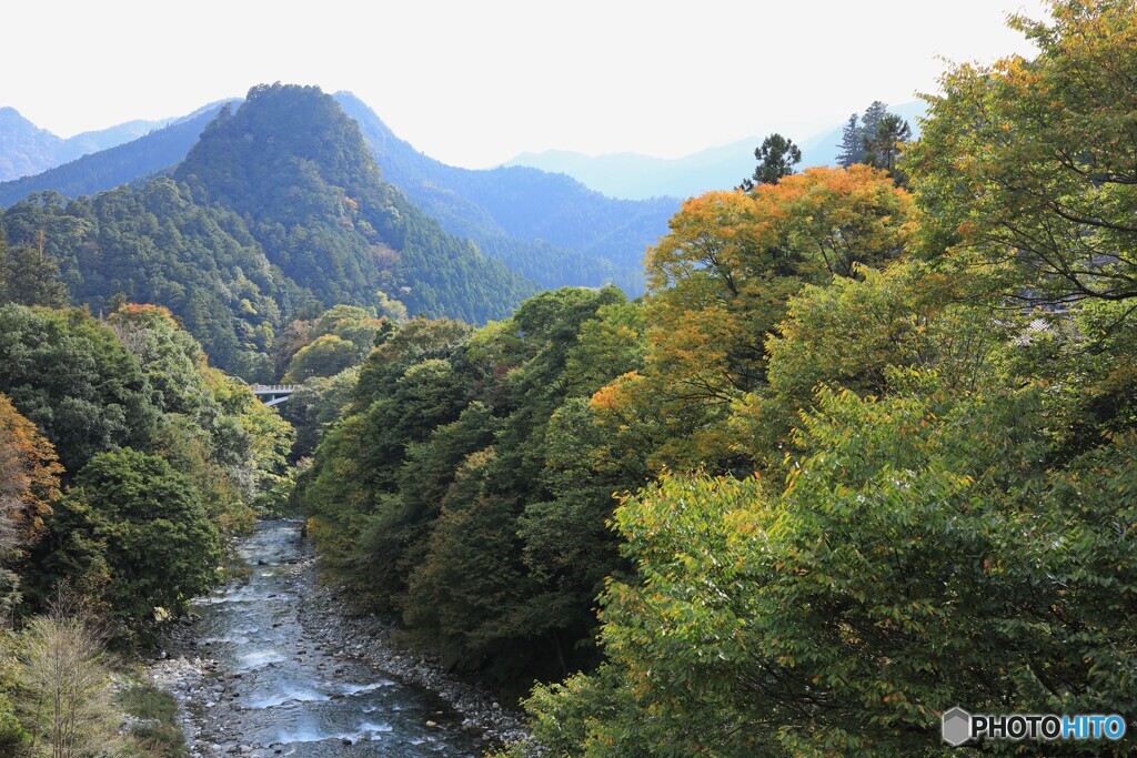 山は少し紅葉して来ました