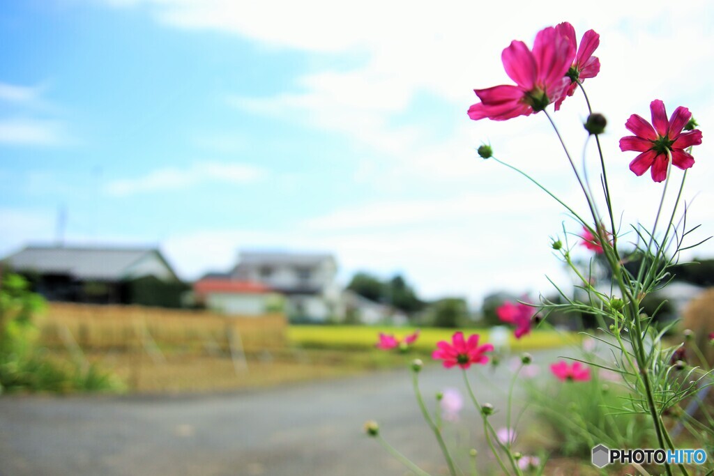 秋の里