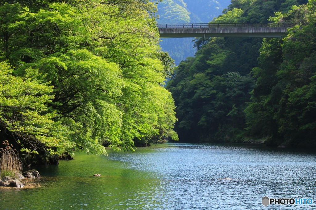 橋の見える風景