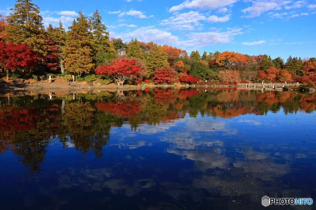 紅葉リフレクション