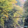 秋を訪ねて