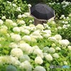 振り向かないで