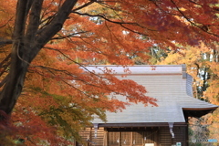  紅葉と神社２