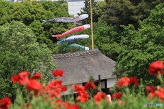元気よく