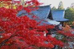神護寺