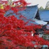神護寺