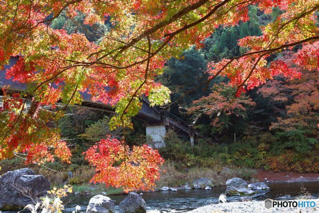 紅葉渓谷