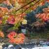 紅葉渓谷