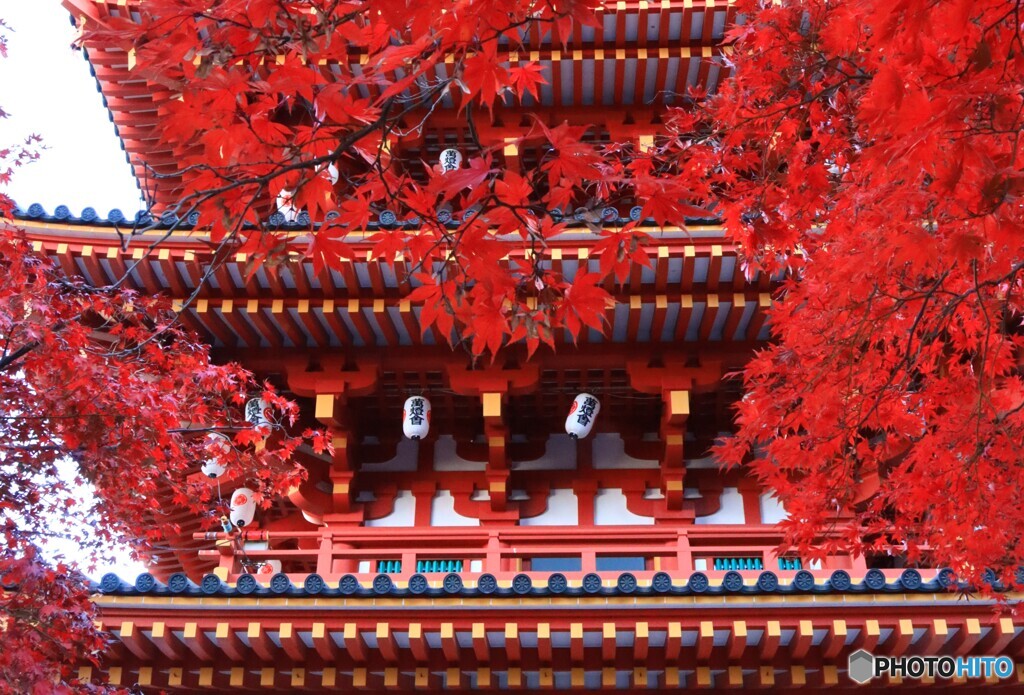 高幡不動尊の紅葉