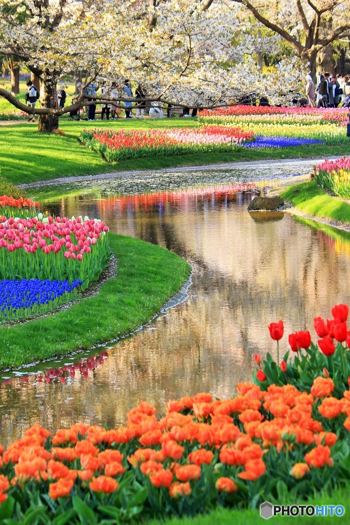 秘密の花園