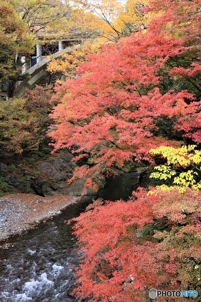 橋のある風景２