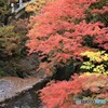 橋のある風景２