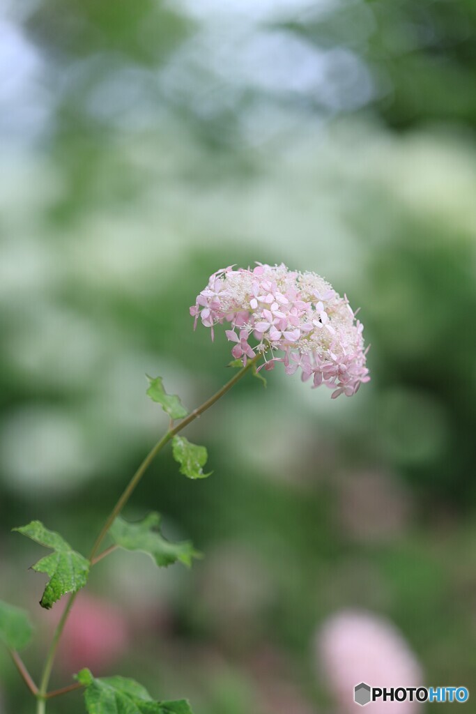 心静かに