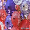 傘の花が咲きました