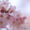 花衣