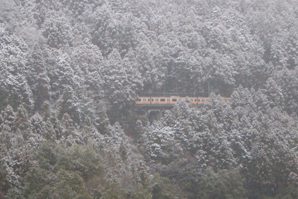 雪の中