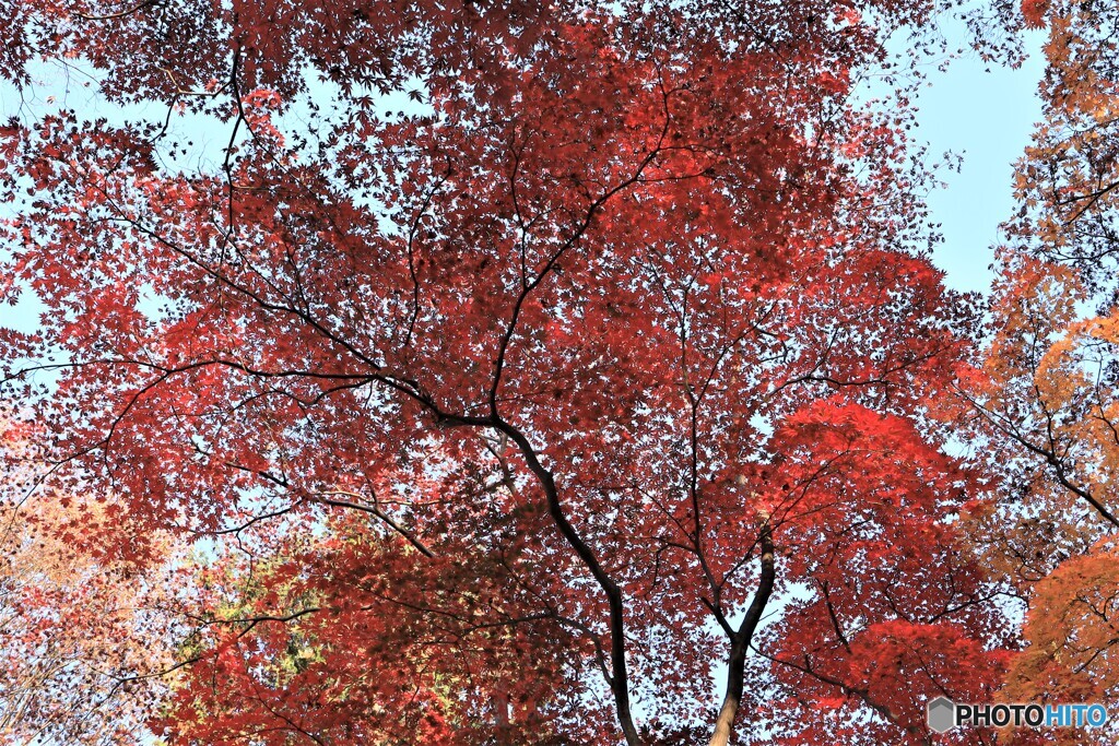 秋澄む時