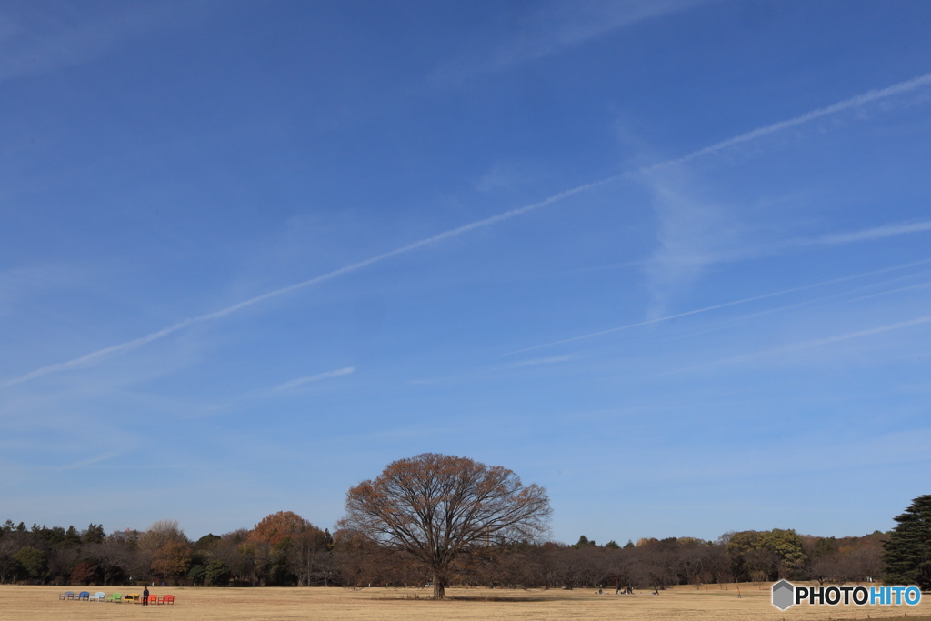 いっぱいの青空