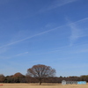 いっぱいの青空