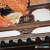 晩秋の高幡不動尊