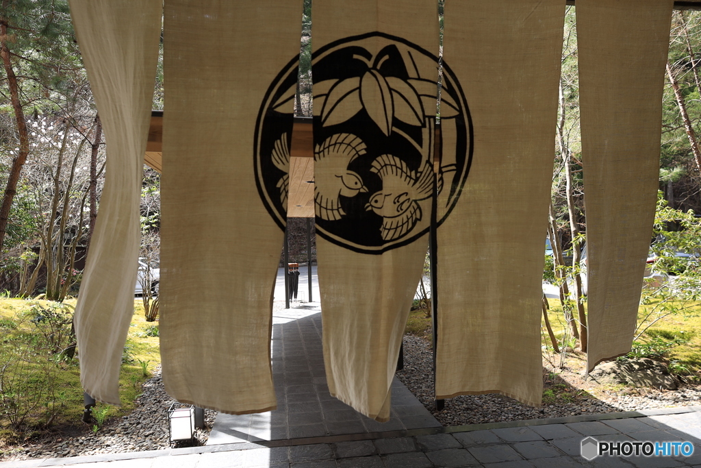 風に吹かれてストレスが飛んでいった