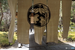 風に吹かれてストレスが飛んでいった