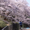素敵な写真撮れました？
