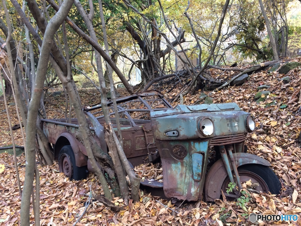 朽ちた車