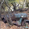 朽ちた車