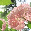 裏側から失礼します