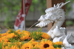 花手水